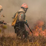 Incendio al Moregallo, chiusa la galleria Parè sulla Sp 583