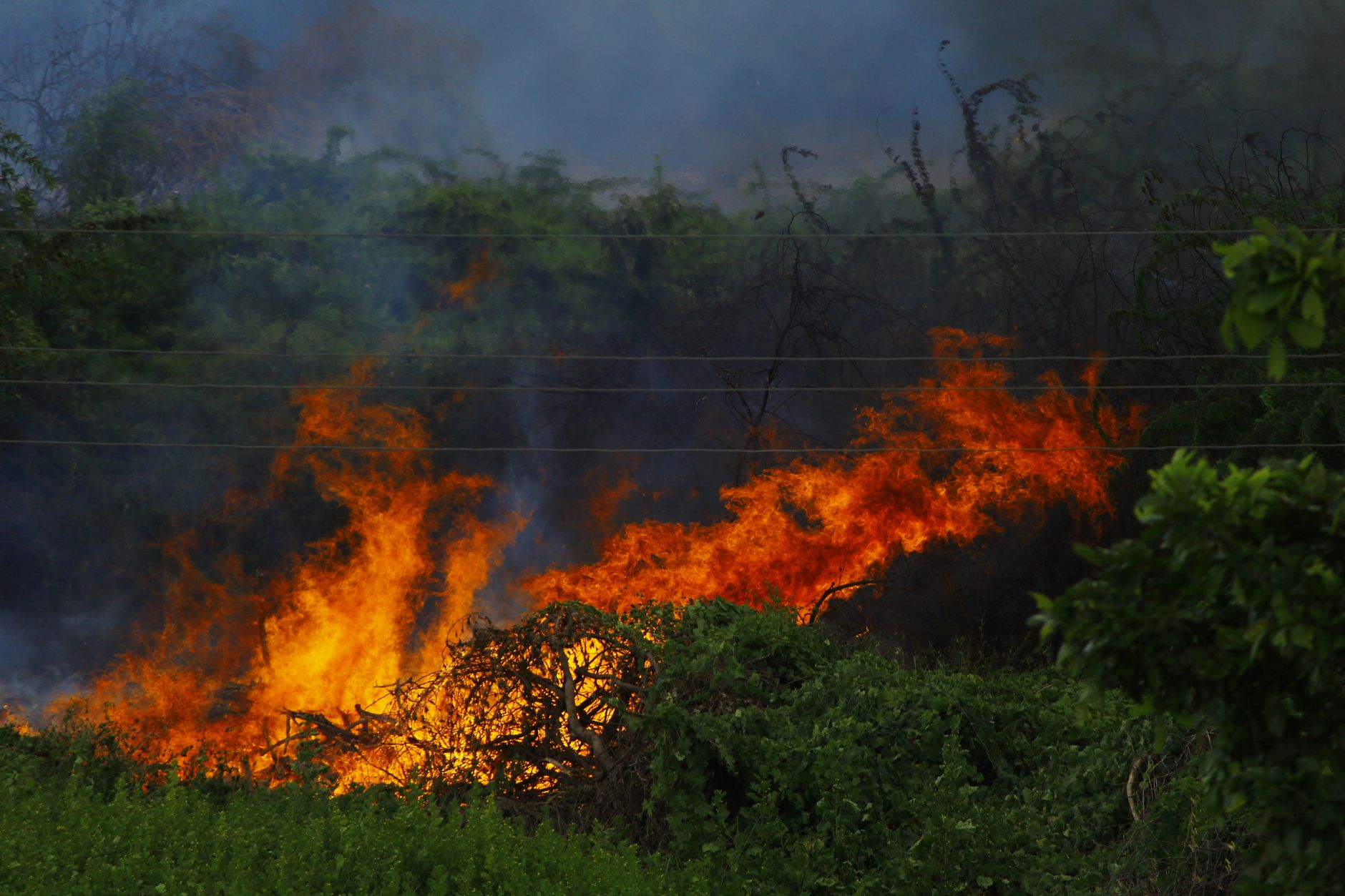 Incendi in Lombardia, 48 volontari e sei mezzi aerei