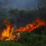 Incendi in Lombardia, 48 volontari e sei mezzi aerei
