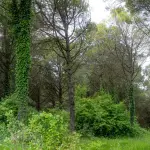 Ostiglia, bocciati i 40mila euro per la riserva naturale