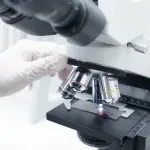 Misinto, torna il Memorial Insieme per Fily per la ricerca oncologica