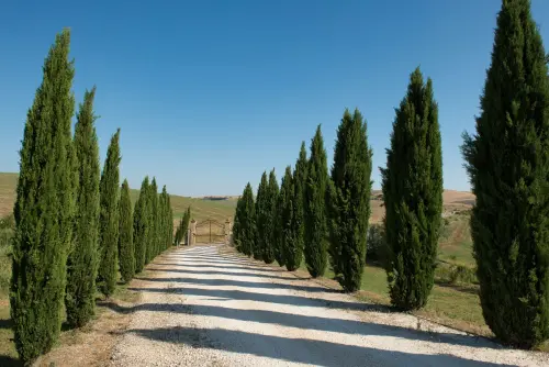 Orticolario 2026, Villa Monastero protagonista a Cernobbio