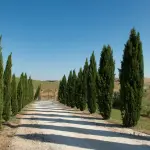 Orticolario 2026, Villa Monastero protagonista a Cernobbio