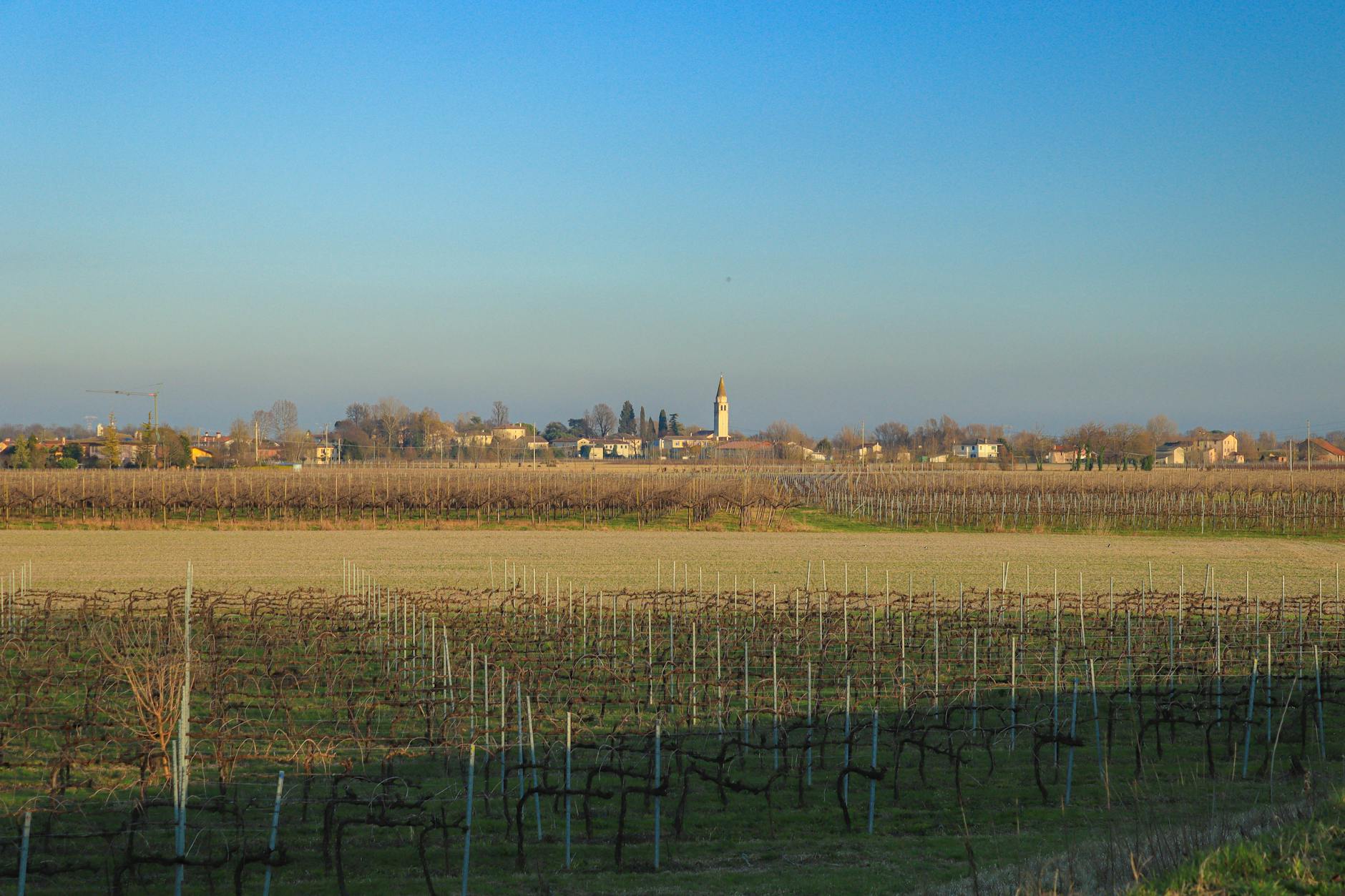 Suolo e clima, NEMESIS avvia il Living Lab nella Pianura Padana