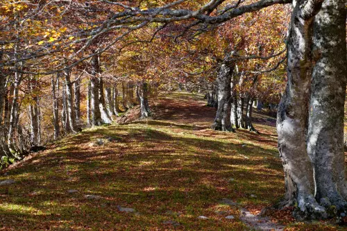 Parchi naturali Lombardia meno conosciuti: guida