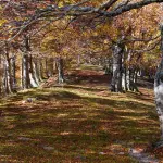 Parchi naturali Lombardia meno conosciuti: guida