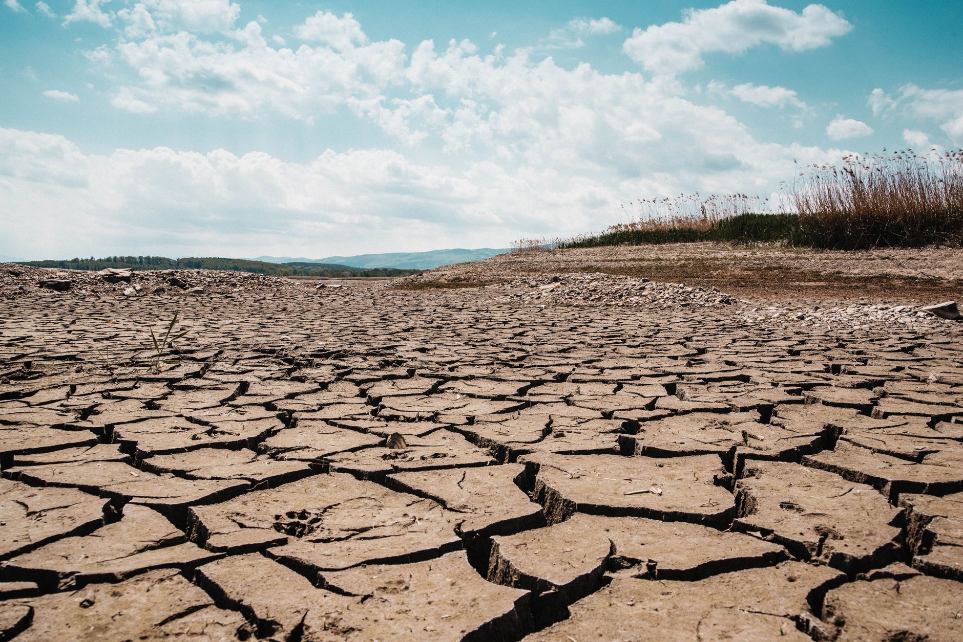 Pianura Padana, allarme siccità: manca oltre un quarto d’acqua