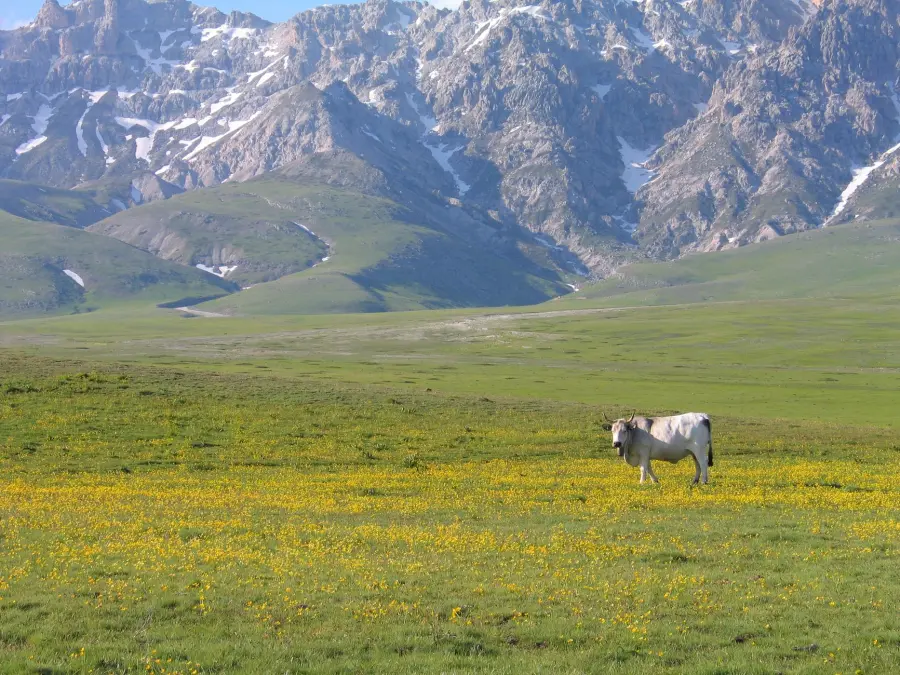 Agricoltura montana, 2,8 milioni alle Comunità lombarde