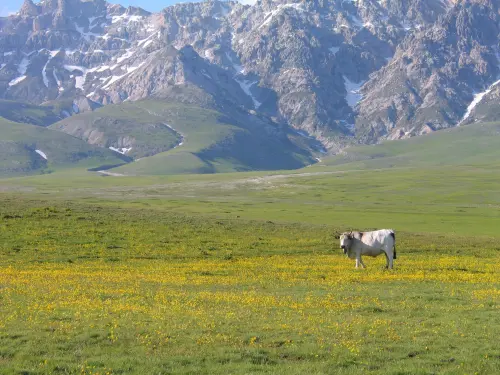 Agricoltura montana, 2,8 milioni alle Comunità lombarde