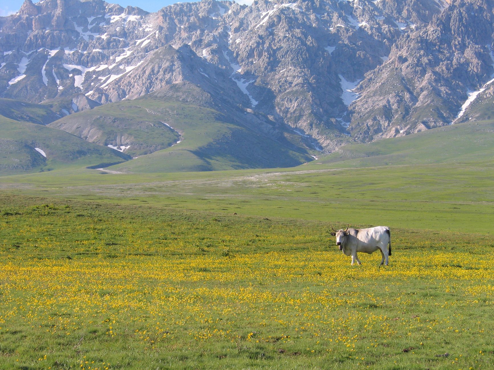 Agricoltura montana, 2,8 milioni alle Comunità lombarde