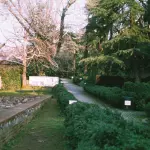 Villa Monastero, riaperto tutto il Giardino botanico a Varenna