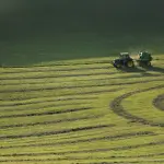 Lombardia, 3,94 milioni per 91 giovani agricoltori